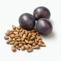 Grape seed extract