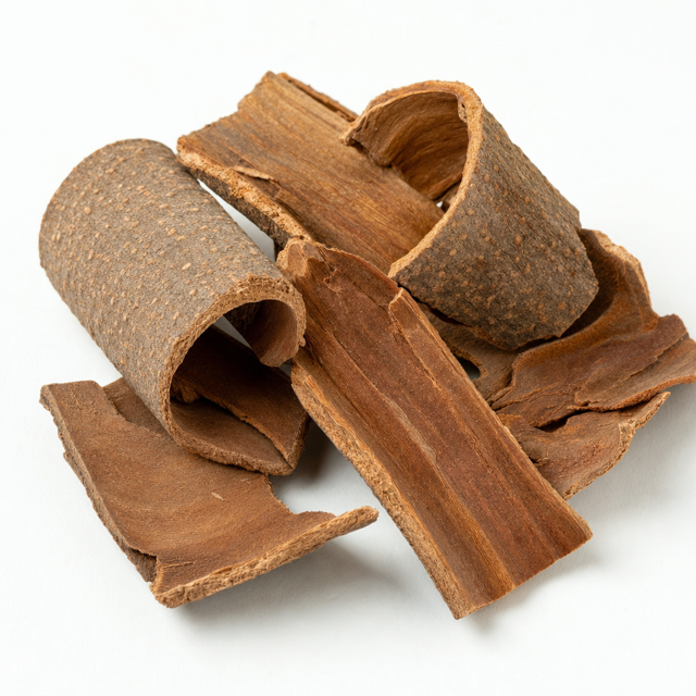 Magnolia bark