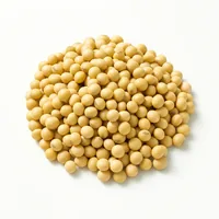 Nattokinase