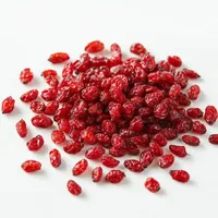 Barberry (Berberis)
