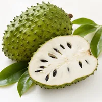 Soursop (graviola)