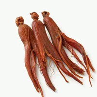 Korean Red Ginseng (Panax)