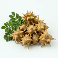 Tribulus Terrestris